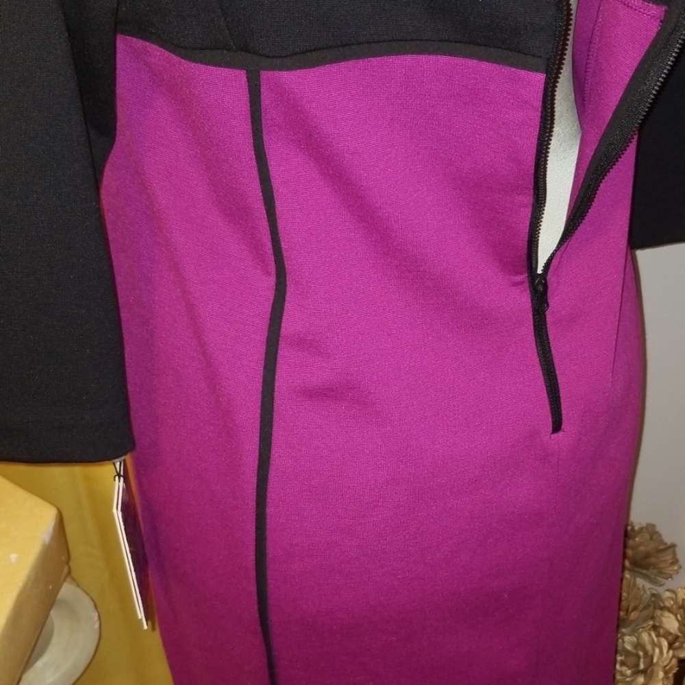 Color Block Dress - Picture 7 of 8